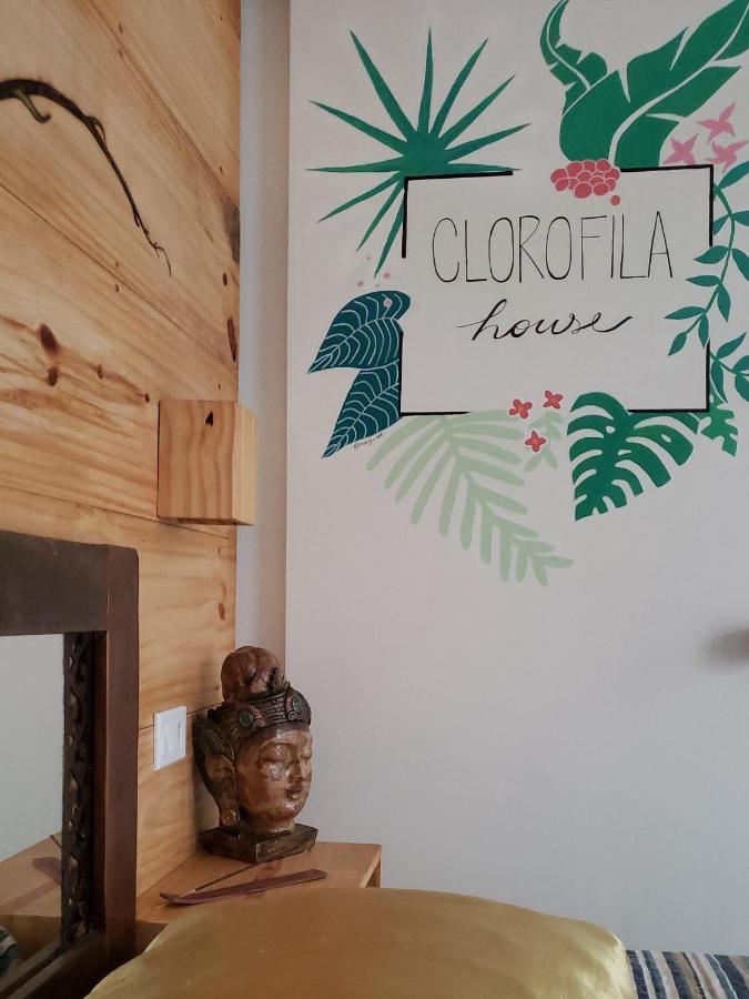 Clorofila House Glamping Naturista Ubatuba Exterior foto