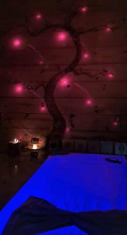 Clorofila House Glamping Naturista Ubatuba Exterior foto